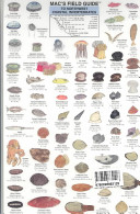 Mac's Field Guide to NW Coastal Invertebrates