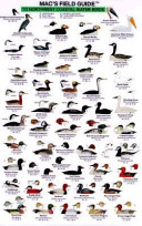 Mac's Field Guide to NW Coastal Water Birds
