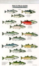 Mac's Field Guide to Salmon & Trout
