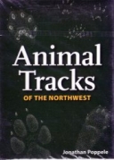 Animal Tracks of the Northwest (Nature's Wild Cards)