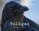Tulugaq (English): An Oral History of Ravens