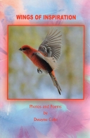 Wings of Inspiration