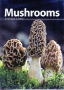 Mushrooms Playing Cards (Nature's Wild Cards)