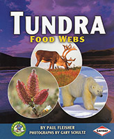 Tundra Food Webs