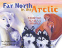 Far North in the Arctic