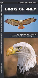 Pocket Naturalist: Birds of Prey