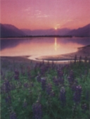 6002 Scenic Sunset