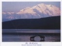 6004 Kissing Moose - McKinley
