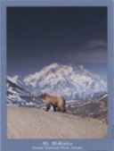 6005 Grizzly at McKinley