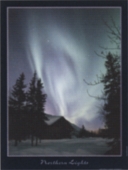 6006 Northern Lights