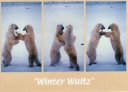 6013  Winter Waltz