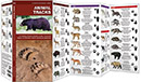Pocket Naturalist: Animal Tracks