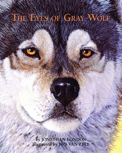 Eyes of Gray Wolf - Image 2