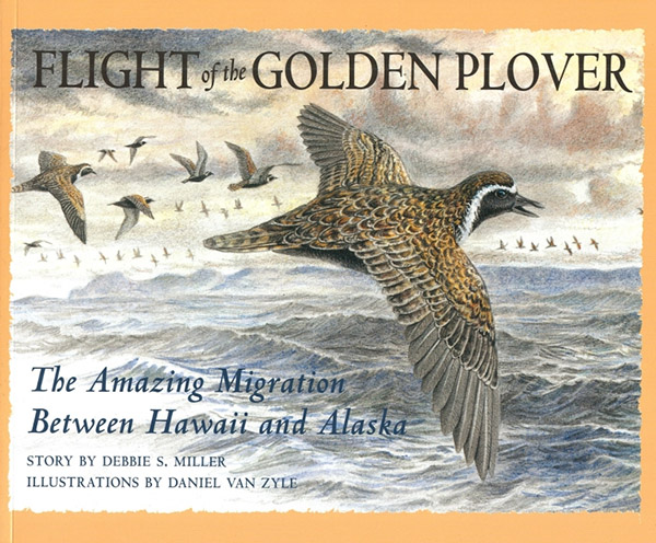 Flight of the Golden Plover - Image 2
